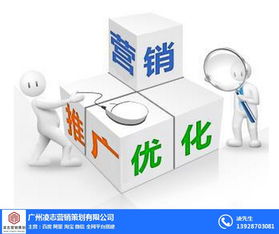 凌志營銷策劃 番禺區(qū)營銷型網(wǎng)頁建設與軟件開發(fā)，優(yōu)質(zhì)商家首選