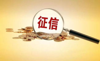 征信服務收費標準下調近50% 激發社會經濟咨詢新活力